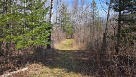 Tbd 43 Lummi Road Orr MN 55771