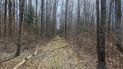 Tbd 43 Lummi Road Orr MN 55771
