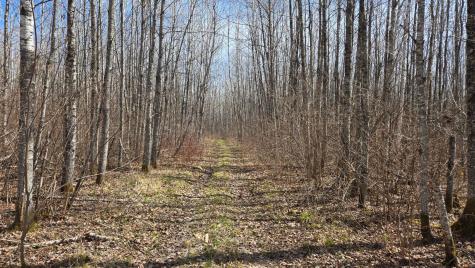Tbd 43 Lummi Road Orr MN 55771