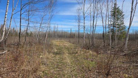 Tbd 43 Lummi Road Orr MN 55771