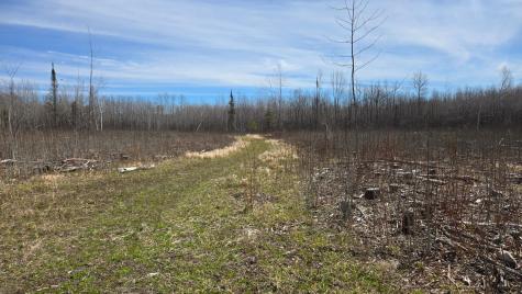 Tbd 43 Lummi Road Orr MN 55771