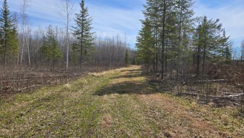Tbd 43 Lummi Road Orr MN 55771