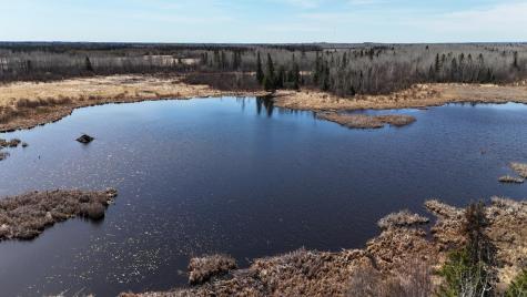 Tbd 43 Lummi Road Orr MN 55771