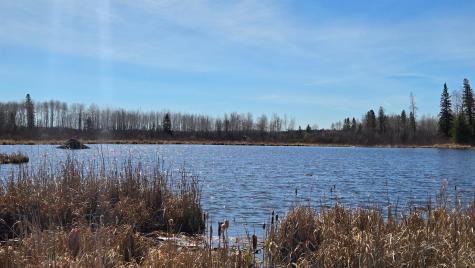 Tbd 43 Lummi Road Orr MN 55771