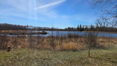 Tbd 43 Lummi Road Orr MN 55771