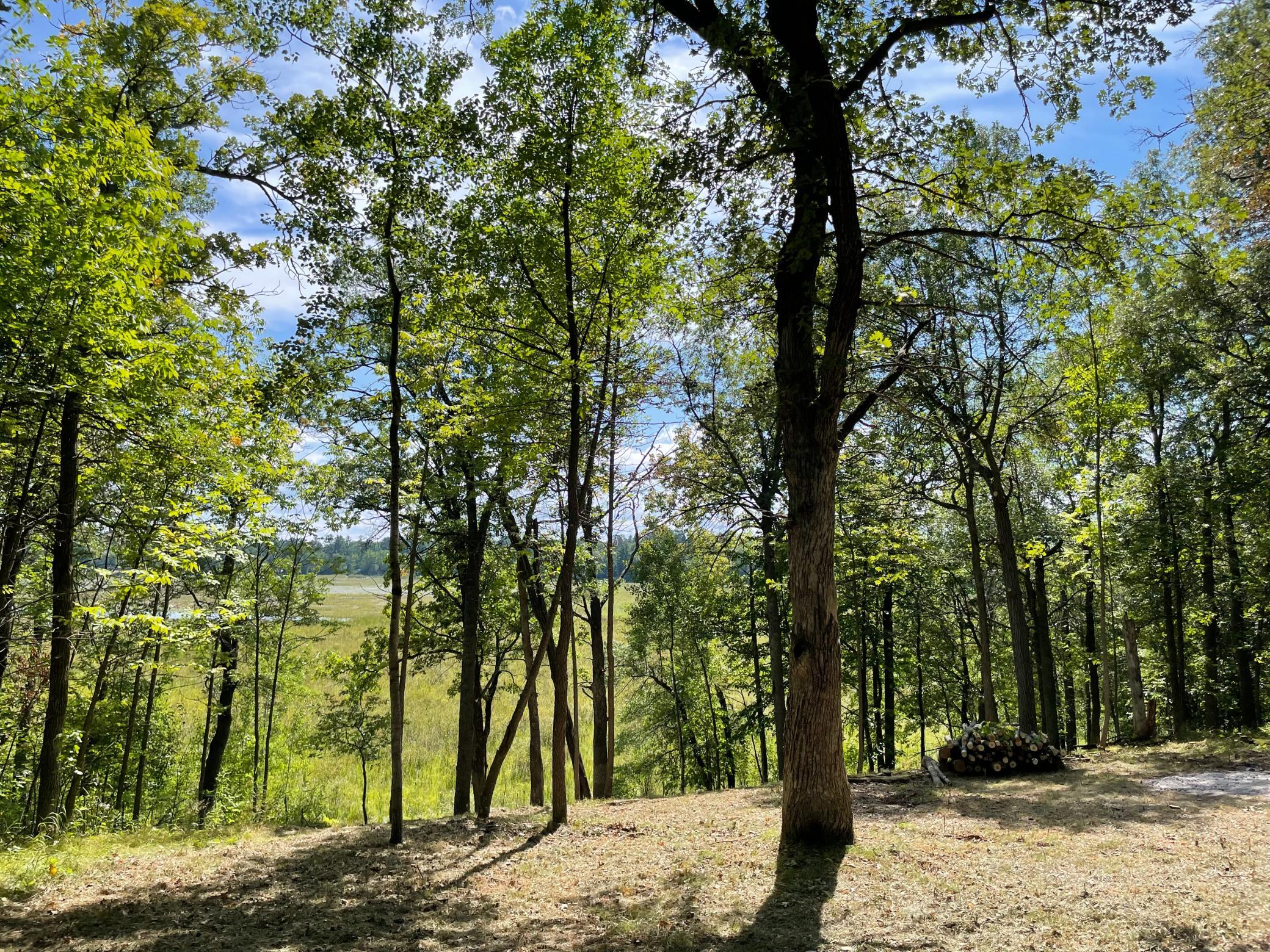 Tbd Wedgewood Road NW Walker MN 56484