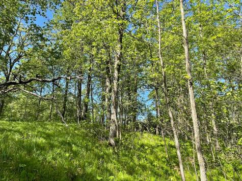 Tbd Wedgewood Road NW Walker MN 56484