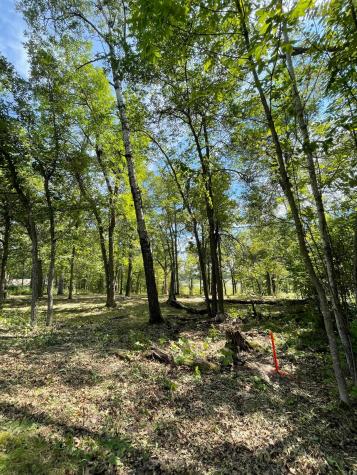 Tbd Wedgewood Road NW Walker MN 56484