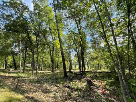 Tbd Wedgewood Road NW Walker MN 56484