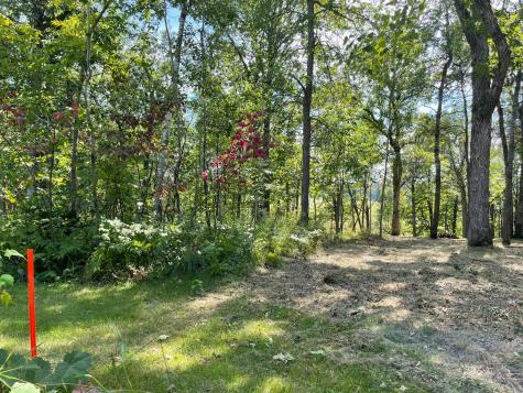 Tbd Wedgewood Road NW Walker MN 56484