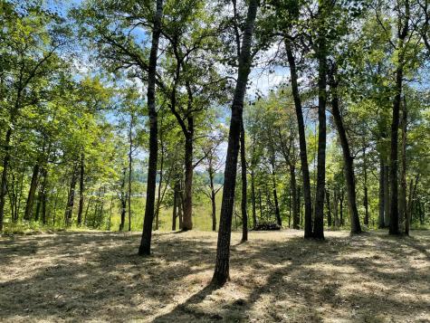 Tbd Wedgewood Road NW Walker MN 56484