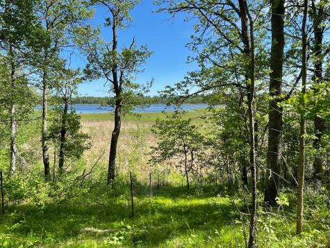 Tbd Wedgewood Road NW Walker MN 56484