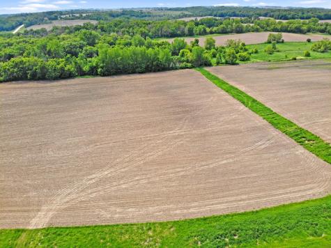 TBD State Highway 57 West Concord MN 55985