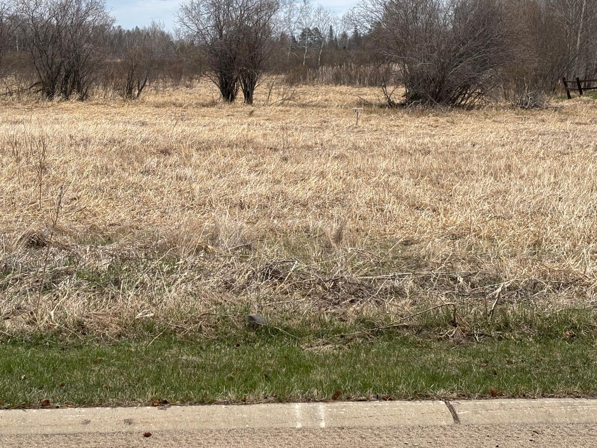 Lot 11 Irvine Avenue NW Bemidji MN 56601