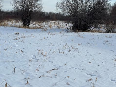 Lot 11 Irvine Avenue NW Bemidji MN 56601