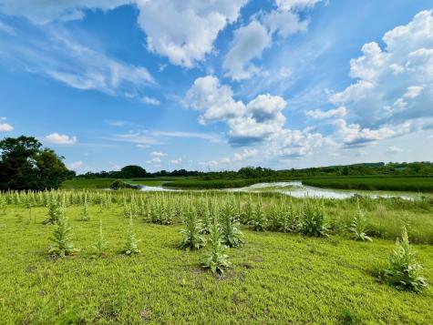 Lot 17 Block 2 River View Trail Pelican Rapids MN 56572