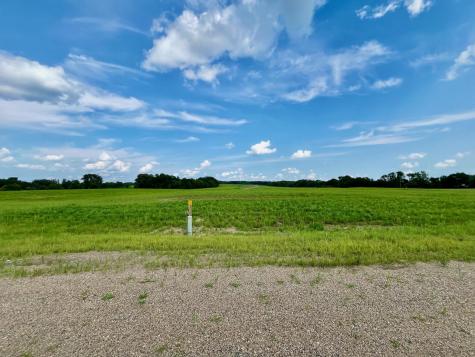 Lot 17 Block 2 River View Trail Pelican Rapids MN 56572