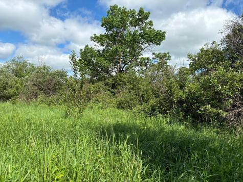 Tbd County Road 7 Bagley MN 56621