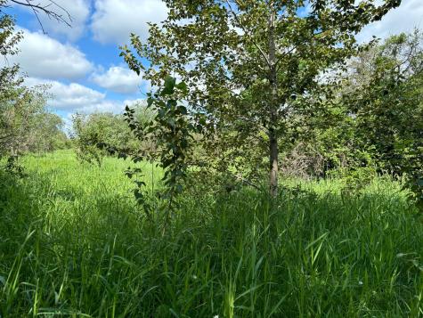 Tbd County Road 7 Bagley MN 56621