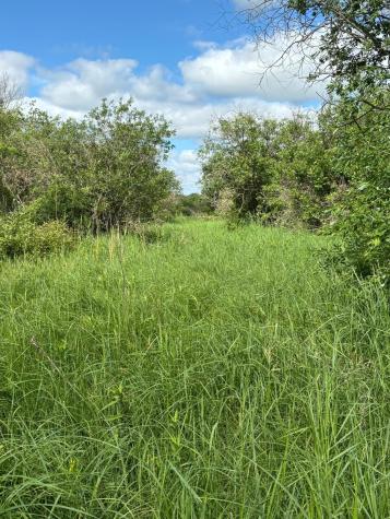 Tbd County Road 7 Bagley MN 56621