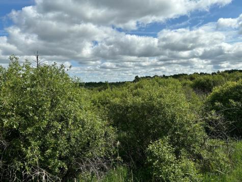 Tbd County Road 7 Bagley MN 56621