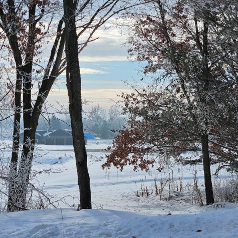 Lot 4, Block 3 2 1/2 Avenue NE Saint Stephen MN 56375