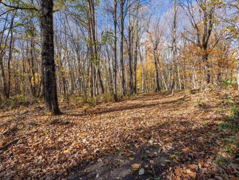 11095 Ottertail Point Drive NW Cass Lake MN 56633