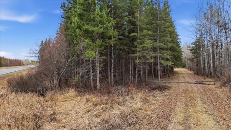 Tbd Town Road #55 Big Falls MN 56627