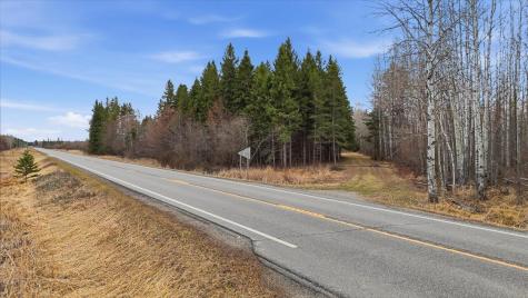 Tbd Town Road #55 Big Falls MN 56627