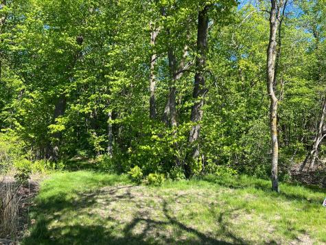 Tbd Camper Landing Road NW Cass Lake MN 56633