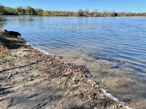 31281 Brightwood Shore Drive Dent MN 56528