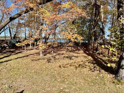31281 Brightwood Shore Drive Dent MN 56528