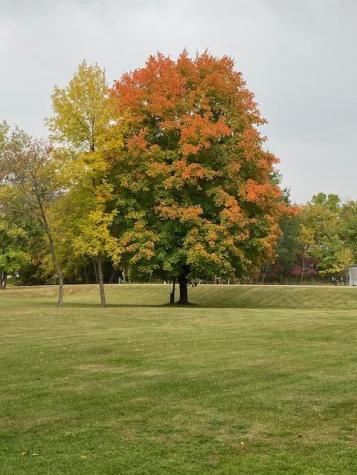 31281 Brightwood Shore Drive Dent MN 56528
