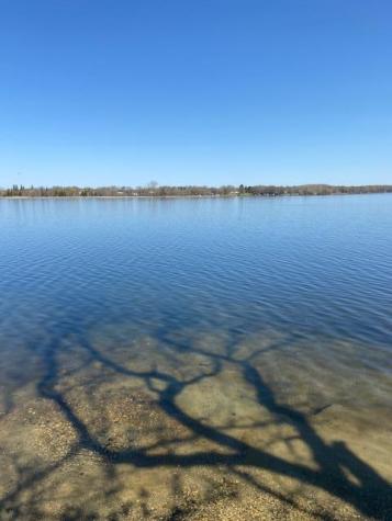 31281 Brightwood Shore Drive Dent MN 56528