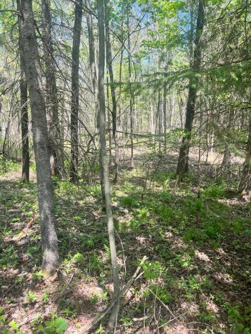 Xxx Co Road 67 Grand Rapids MN 55744