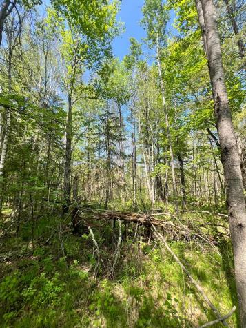 Xxx Co Road 67 Grand Rapids MN 55744