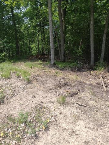 Lot 8 Block 2 Crystal Beach Road Pelican Rapids MN 56572
