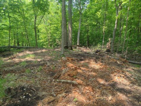 Lot 8 Block 2 Crystal Beach Road Pelican Rapids MN 56572