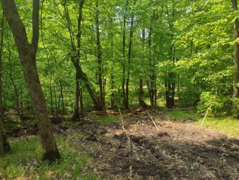 Lot 8 Block 2 Crystal Beach Road Pelican Rapids MN 56572