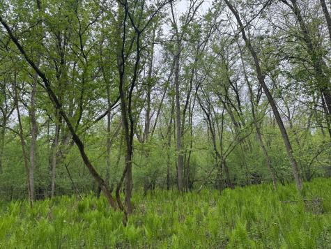 13XXX Highway 23 Milaca MN 56353