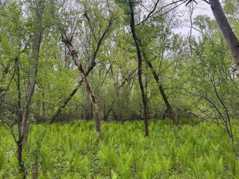 13XXX Highway 23 Milaca MN 56353