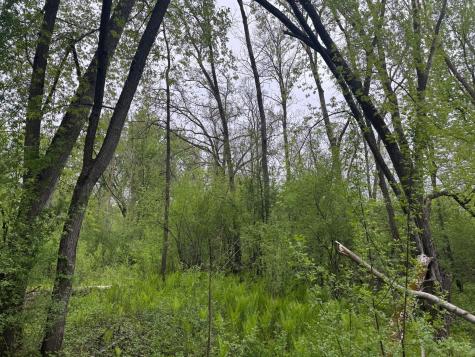 13XXX Highway 23 Milaca MN 56353
