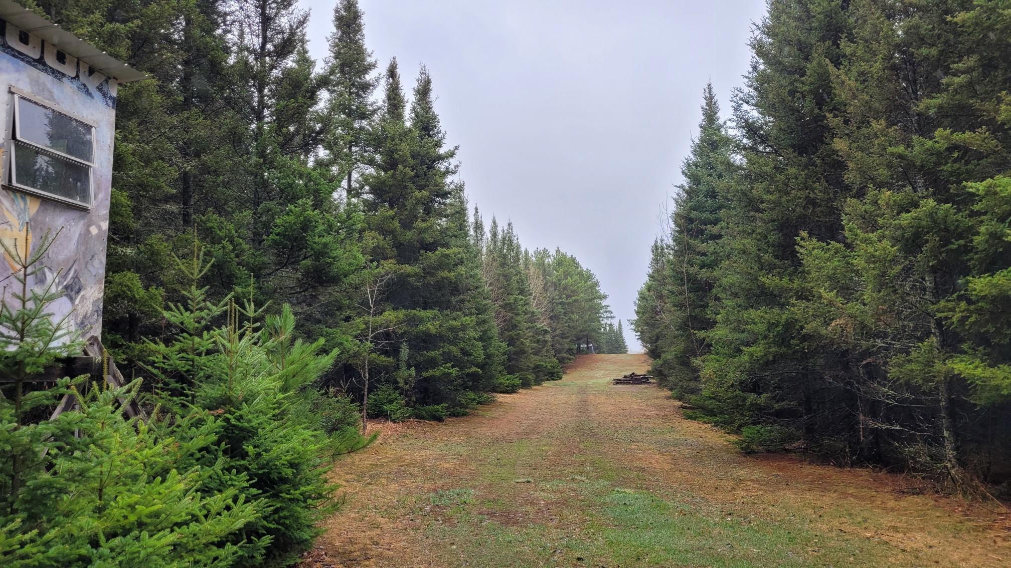 Tbd Timber Wolf Trail SW Pine River MN 56435