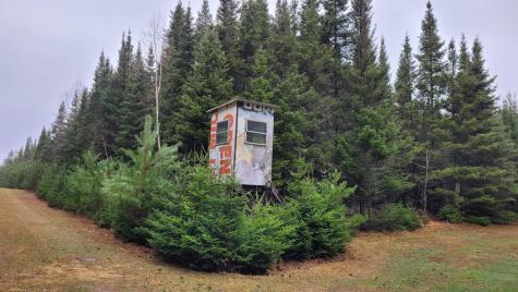 Tbd Timber Wolf Trail SW Pine River MN 56435