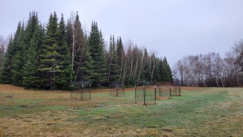 Tbd Timber Wolf Trail SW Pine River MN 56435