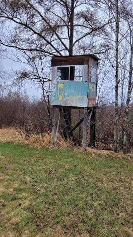 Tbd Timber Wolf Trail SW Pine River MN 56435