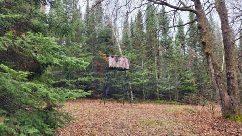 Tbd Timber Wolf Trail SW Pine River MN 56435
