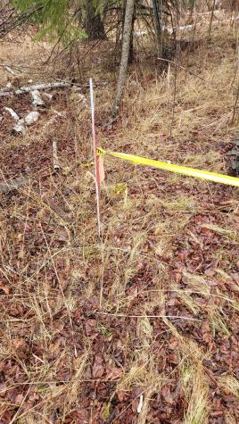 Tbd Timber Wolf Trail SW Pine River MN 56435