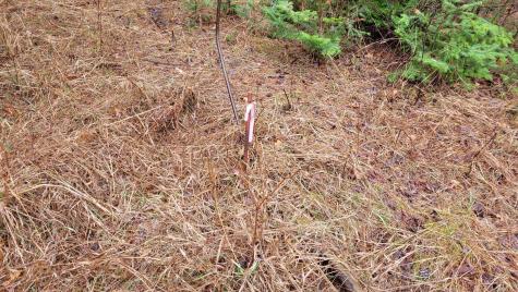 Tbd Timber Wolf Trail SW Pine River MN 56435