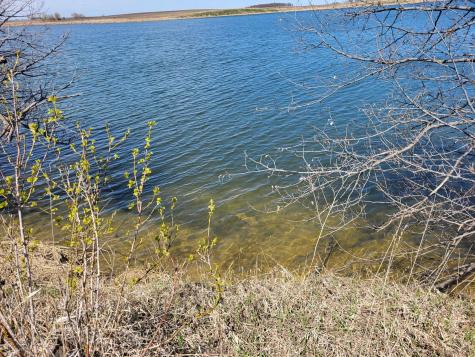 Lot 8 Southshores Circle Lake Park MN 56554